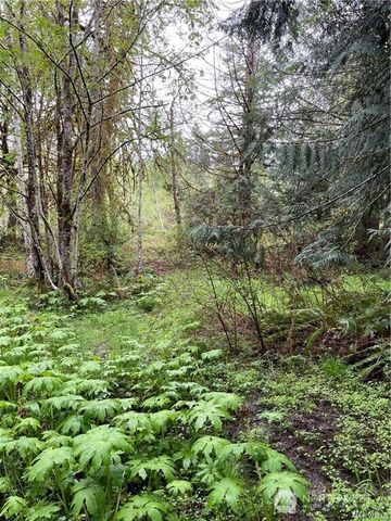 2616 Schirm Road NW, Olympia, WA 98502