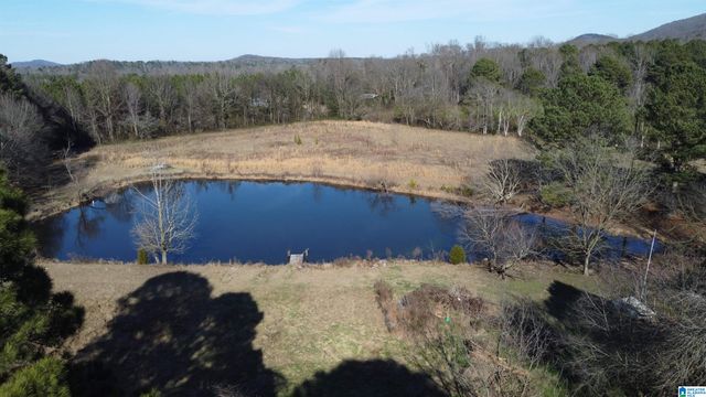 2879 KELLY CREEK ROAD, Odenville, AL 35120