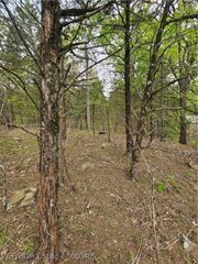 TBD Hwy 23, Booneville, AR 72927