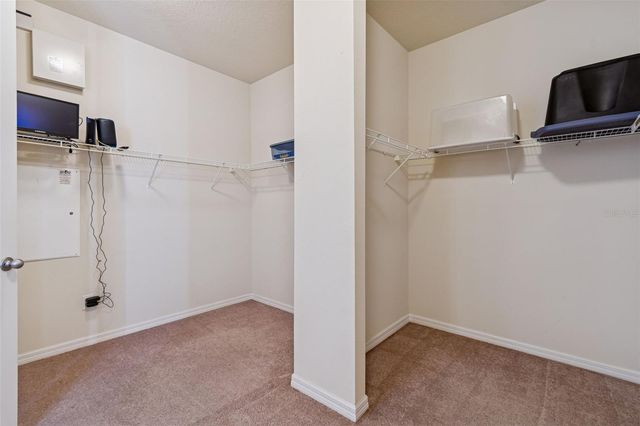 19161 LONG LAKE RANCH BOULEVARD, Lutz, FL 33558