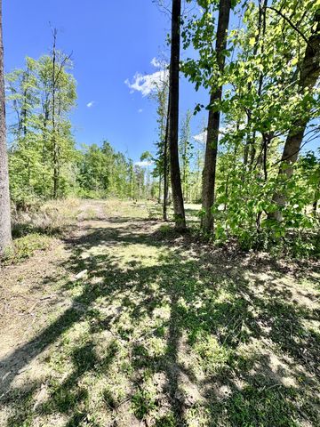 0 Annie Hollow Rd, Westmoreland, TN 37186