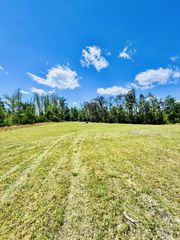 0 Annie Hollow Rd, Westmoreland, TN 37186