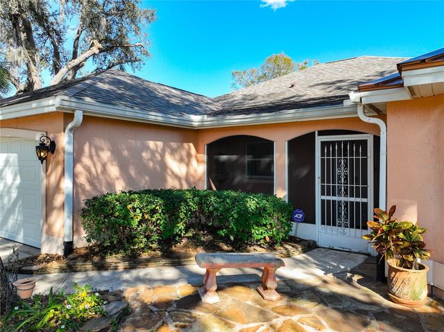 1613 CARRERA DRIVE, The Villages, FL 32159