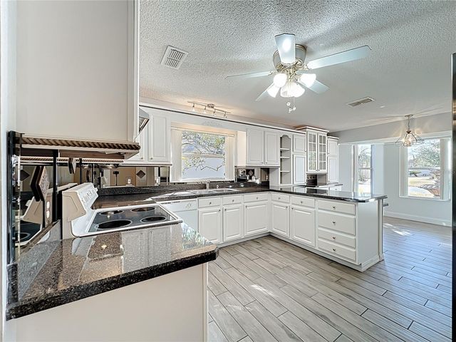 1613 CARRERA DRIVE, The Villages, FL 32159