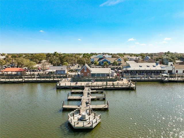 1613 CARRERA DRIVE, The Villages, FL 32159