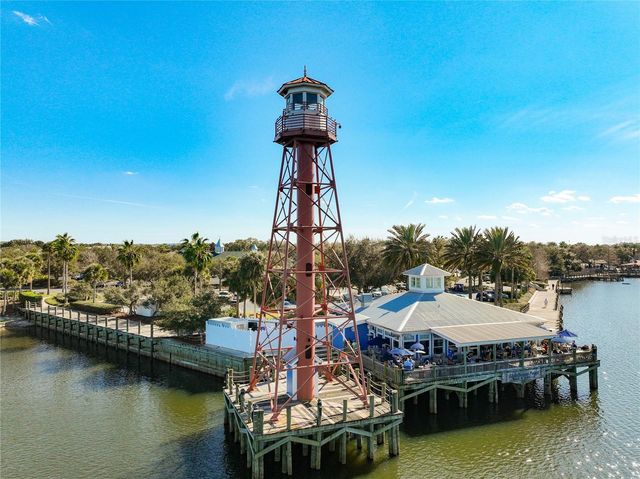 1613 CARRERA DRIVE, The Villages, FL 32159