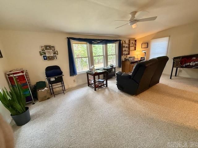 22 Constantina Circle, Hot Springs Village, AR 71909