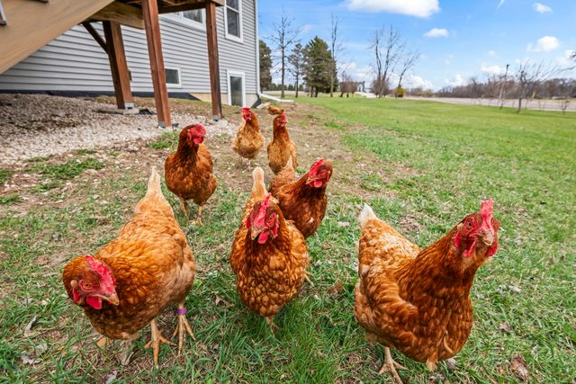 9119 Riley Road, Marengo, IL 60152