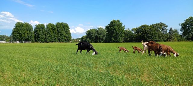 9119 Riley Road, Marengo, IL 60152