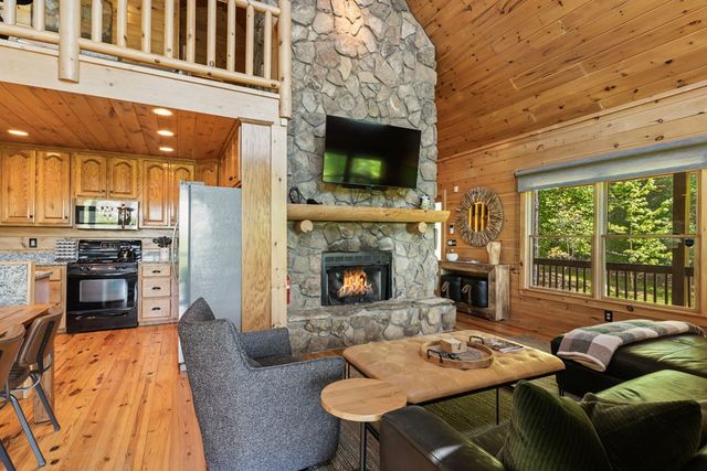 229 Old Mill Pond Road, Mineral Bluff, GA 30559