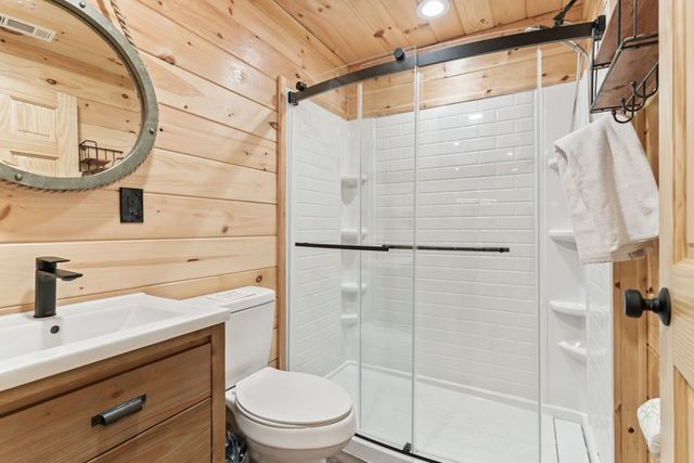229 Old Mill Pond Road, Mineral Bluff, GA 30559
