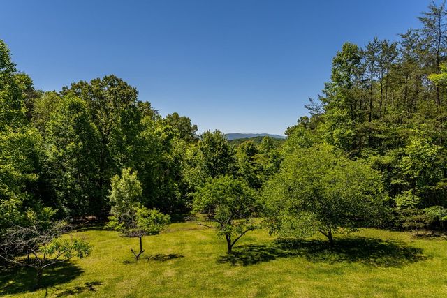 229 Old Mill Pond Road, Mineral Bluff, GA 30559