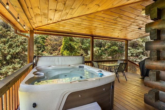 229 Old Mill Pond Road, Mineral Bluff, GA 30559
