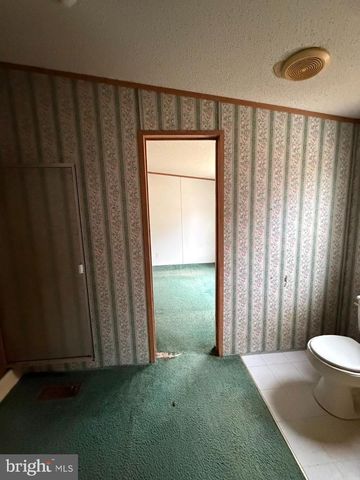 8217 HURLEYS NECK RD, Mardela Springs, MD 21837