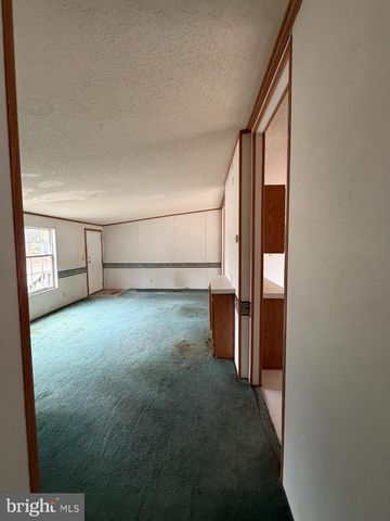 8217 HURLEYS NECK RD, Mardela Springs, MD 21837