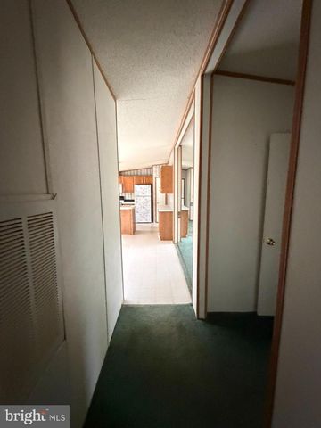 8217 HURLEYS NECK RD, Mardela Springs, MD 21837