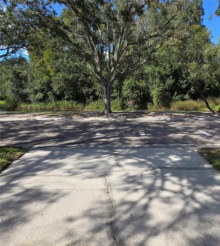 9707 CYPRESS SHADOW AVENUE, Tampa, FL 33647