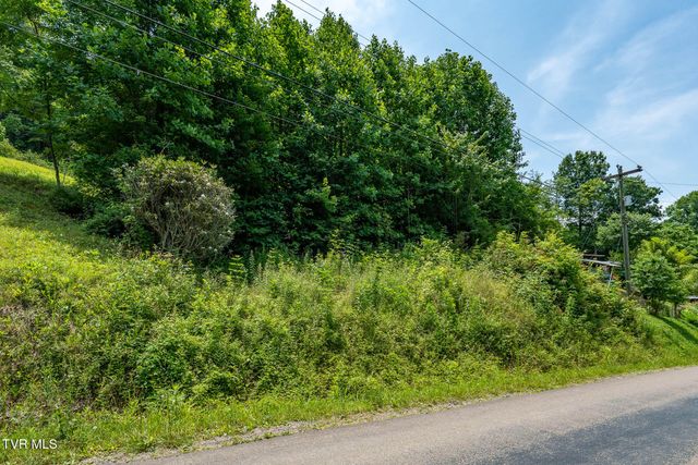 Tbd Sink Valley Road, Butler, TN 37640