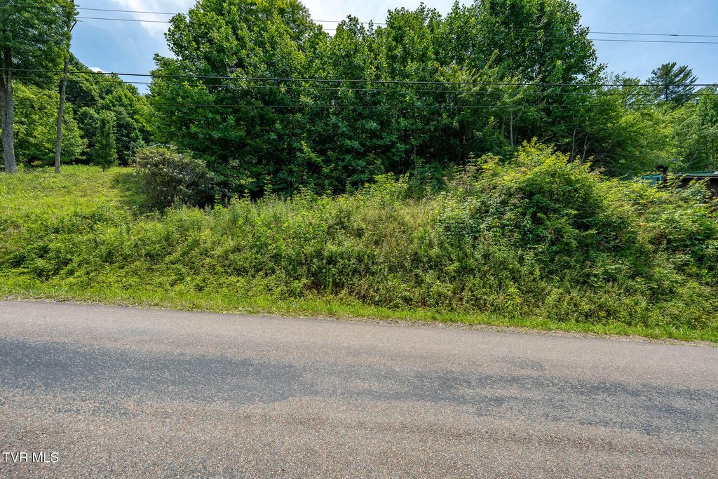 Tbd Sink Valley Road, Butler, TN 37640