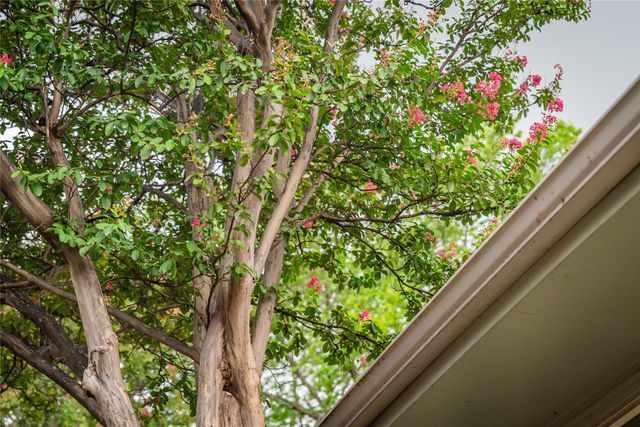 526 S Edgefield Avenue, Dallas, TX 75208