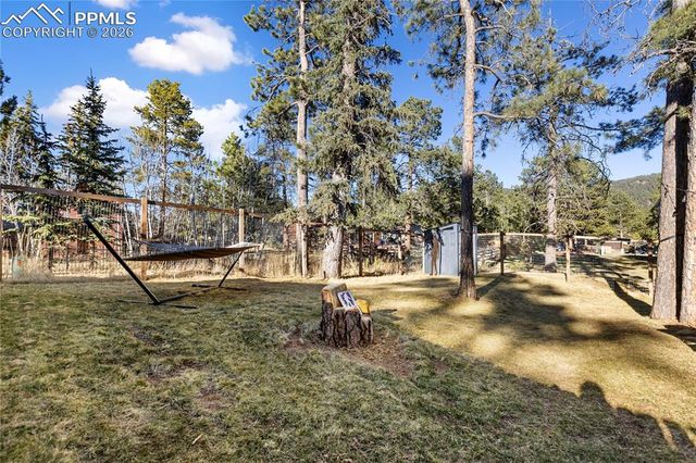 118 E Chester Avenue, Woodland Park, CO 80863
