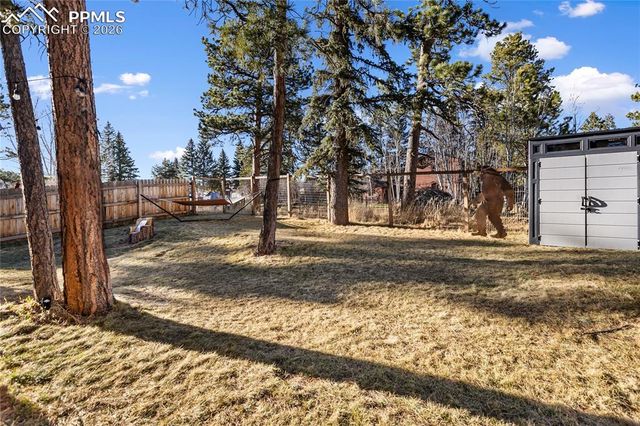 118 E Chester Avenue, Woodland Park, CO 80863