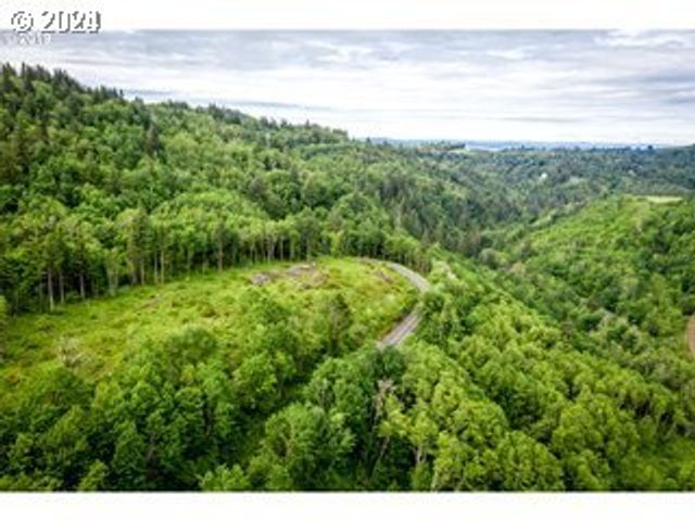 0 Mt Pleasant Rd tract 1, Washougal, WA 98671