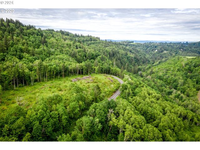 0 Mt Pleasant Rd tract 1, Washougal, WA 98671