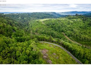 0 Mt Pleasant Rd tract 1, Washougal, WA 98671