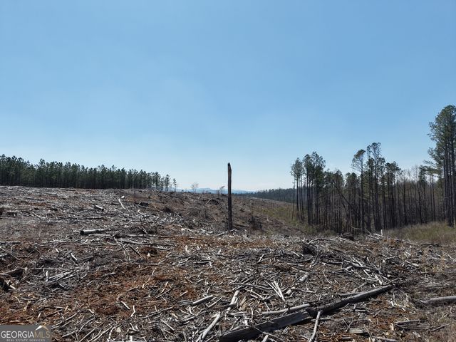 0 Young Loop 7206 PARCEL B, Fairmount, GA 30139