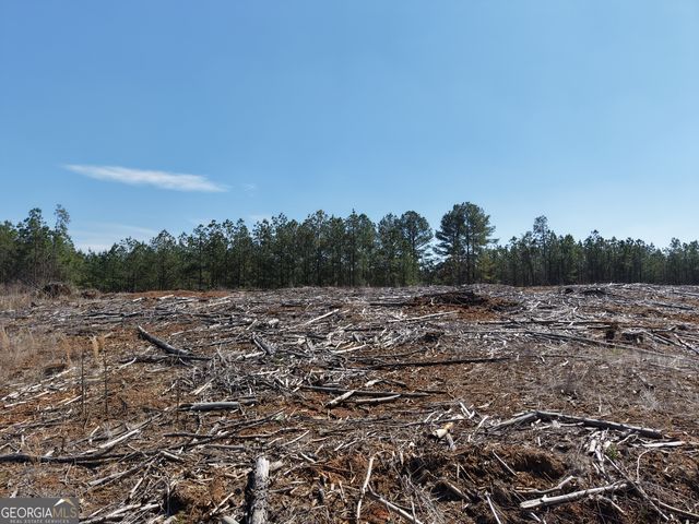 0 Young Loop 7206 PARCEL B, Fairmount, GA 30139