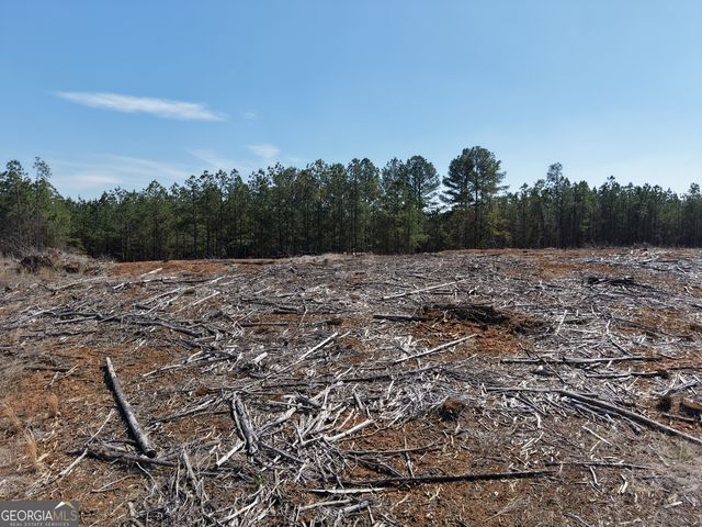 0 Young Loop 7206 PARCEL B, Fairmount, GA 30139