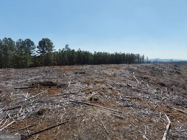 0 Young Loop 7206 PARCEL B, Fairmount, GA 30139