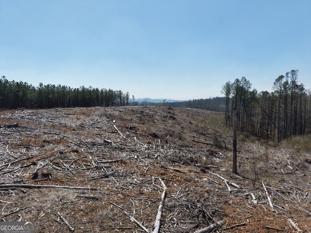 0 Young Loop 7206 PARCEL B, Fairmount, GA 30139