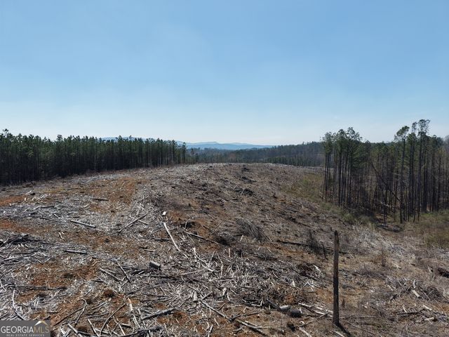 0 Young Loop 7206 PARCEL B, Fairmount, GA 30139