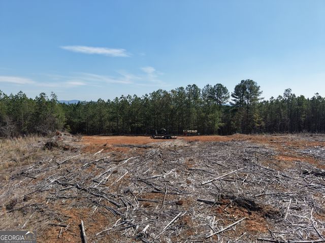 0 Young Loop 7206 PARCEL B, Fairmount, GA 30139