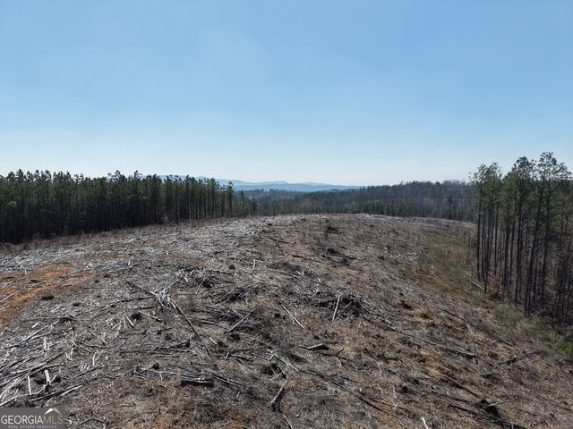 0 Young Loop 7206 PARCEL B, Fairmount, GA 30139