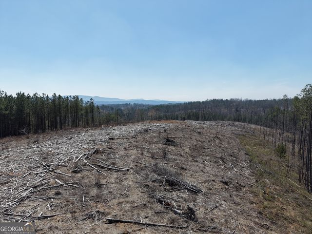 0 Young Loop 7206 PARCEL B, Fairmount, GA 30139