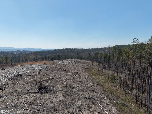 0 Young Loop 7206 PARCEL B, Fairmount, GA 30139