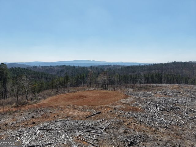 0 Young Loop 7206 PARCEL B, Fairmount, GA 30139