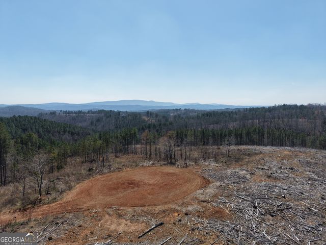 0 Young Loop 7206 PARCEL B, Fairmount, GA 30139