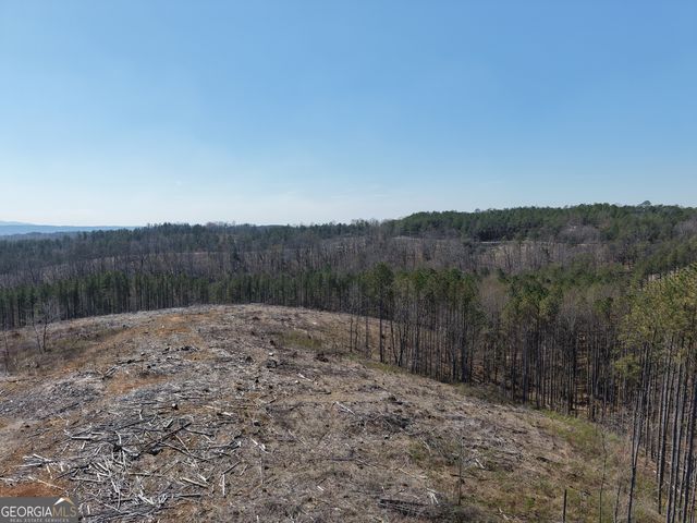 0 Young Loop 7206 PARCEL B, Fairmount, GA 30139