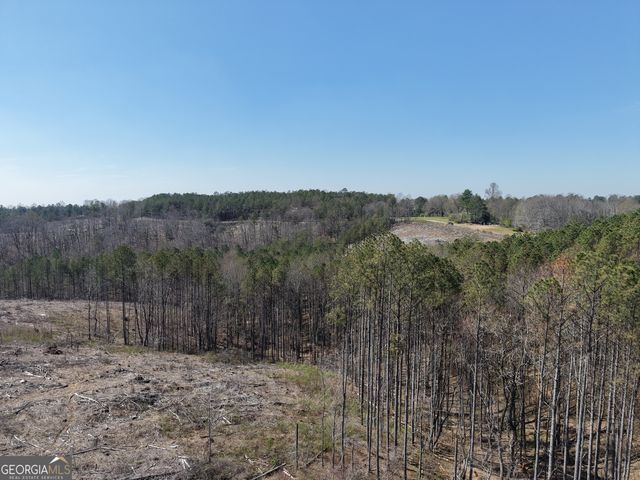 0 Young Loop 7206 PARCEL B, Fairmount, GA 30139