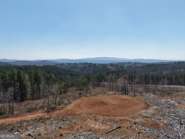 0 Young Loop 7206 PARCEL B, Fairmount, GA 30139