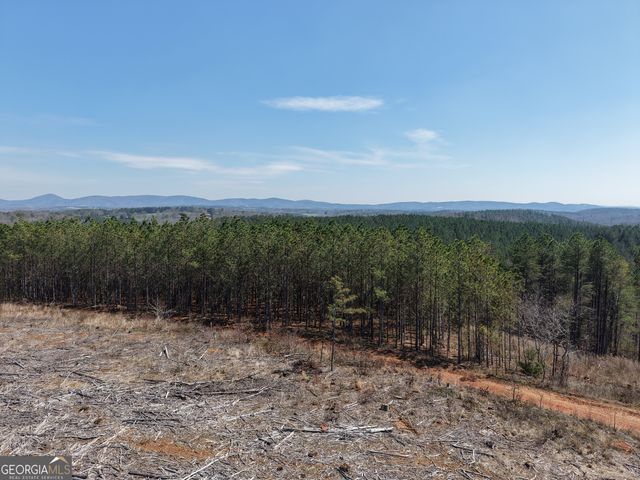 0 Young Loop 7206 PARCEL B, Fairmount, GA 30139