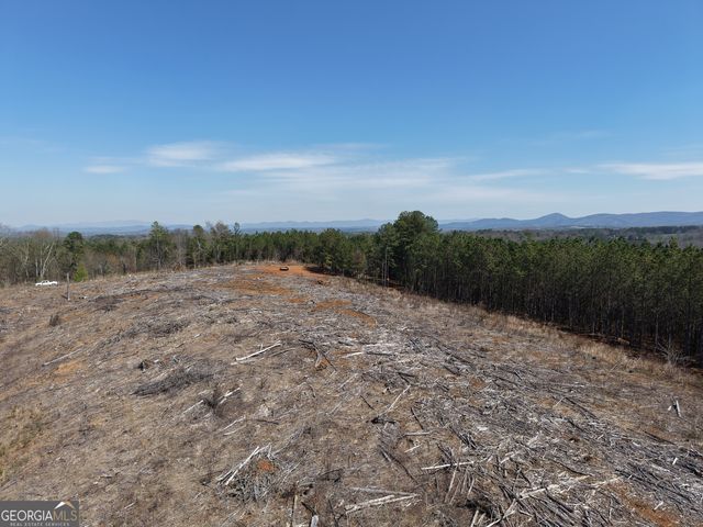 0 Young Loop 7206 PARCEL B, Fairmount, GA 30139