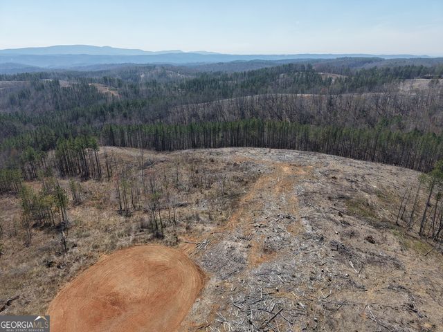 0 Young Loop 7206 PARCEL B, Fairmount, GA 30139