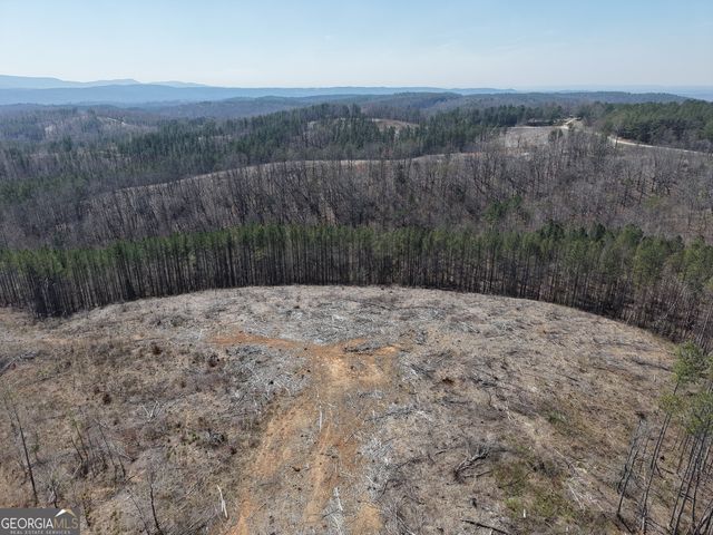 0 Young Loop 7206 PARCEL B, Fairmount, GA 30139