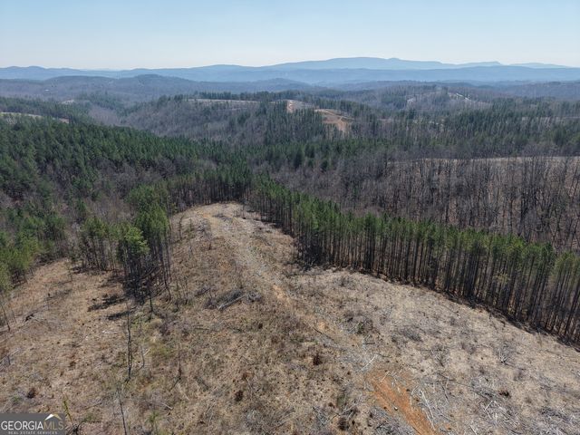 0 Young Loop 7206 PARCEL B, Fairmount, GA 30139