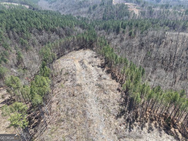 0 Young Loop 7206 PARCEL B, Fairmount, GA 30139